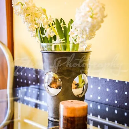 Azyl Nad Potokiem Pansiyon