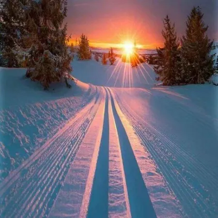 Azyl Nad Potokiem Karpacz