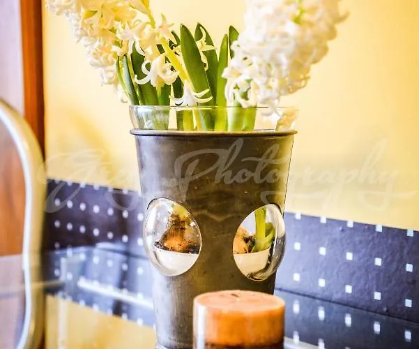 Azyl Nad Potokiem 民宿